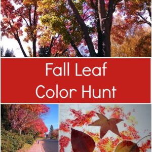Fall Leaf Color Hunt & Wax Paper Creations