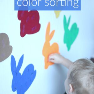 Bunny Color Sorting